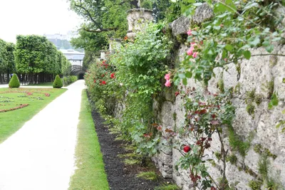 DSC_6112 (Large).JPG